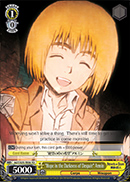 "Hope in the Darkness of Despair" Armin