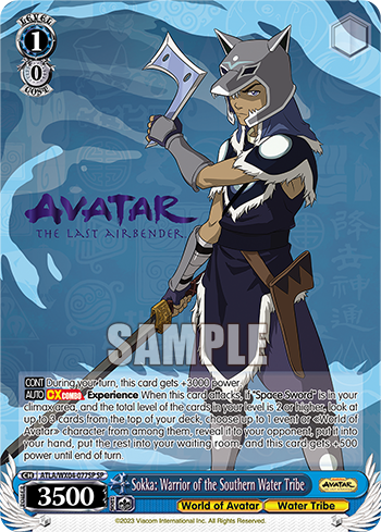 Sokka: Warrior of the Southern Water Tribe
