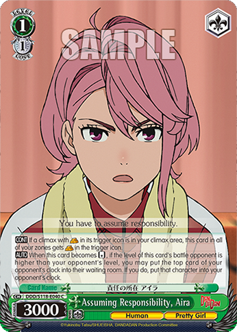 Assuming Responsibility, Aira