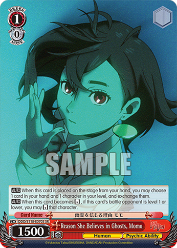 Reason She Believes in Ghosts, Momo DDD/S118-E070S