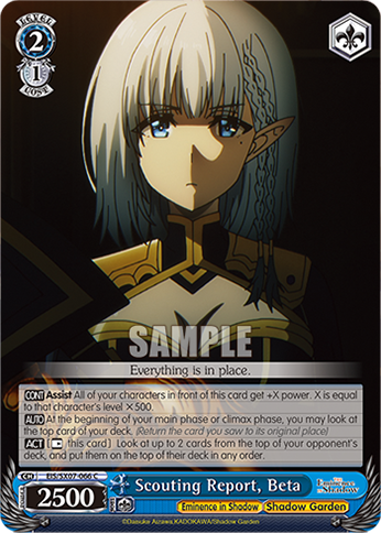 Scouting Report, Beta EIS/SX07-066