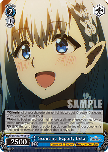 Scouting Report, Beta EIS/SX07-066S
