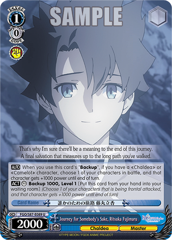 Journey for Somebody's Sake, Ritsuka Fujimaru FGO/S87-E089