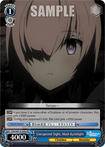 Unexpected Sight, Mash Kyrielight FGO/S87-E104S
