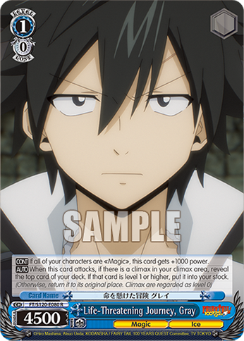 Life-Threatening Journey, Gray FT/S120-E080