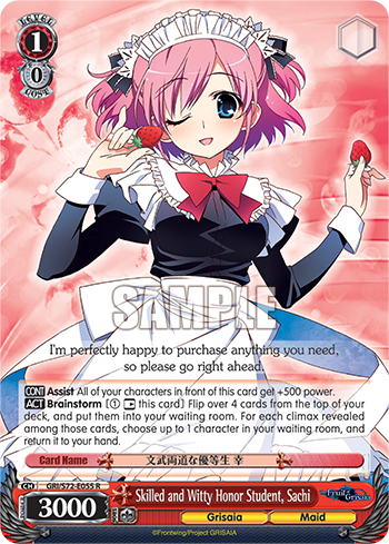 Skilled and Witty Honor Student, Sachi