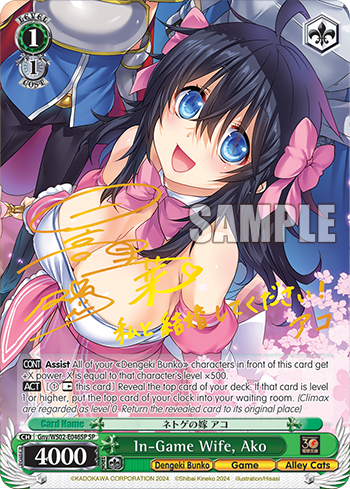 In-Game Wife, Ako Gny/WS02-E046SP