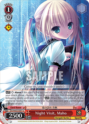 Night Visit, Maho Grk/WS02-E091
