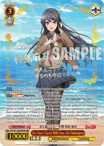 The Year I Spent With You, Mai Sakurajima