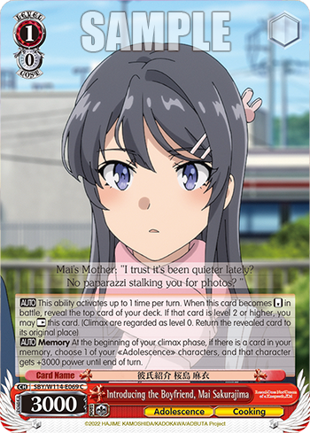 Introducing the Boyfriend, Mai Sakurajima SBY/W114-E069