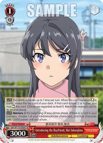 Introducing the Boyfriend, Mai Sakurajima SBY/W114-E069S