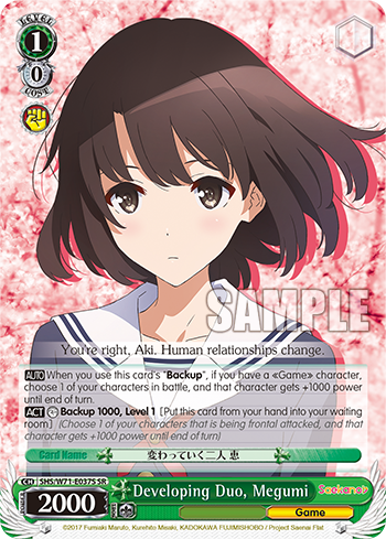 Developing Duo, Megumi