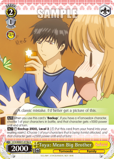 Toya: Mean Big Brother