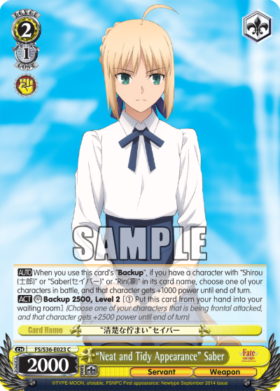 “Neat and Tidy Appearance” Saber