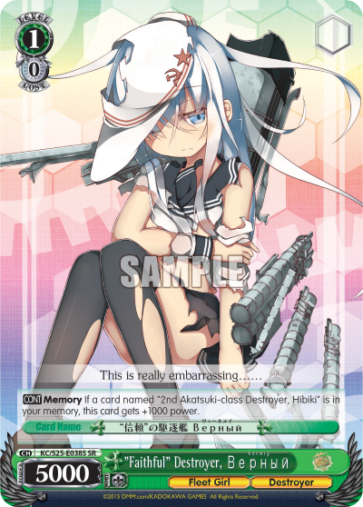 "Faithful" Destroyer, Верный