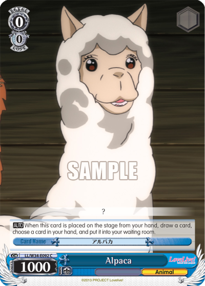 Alpaca