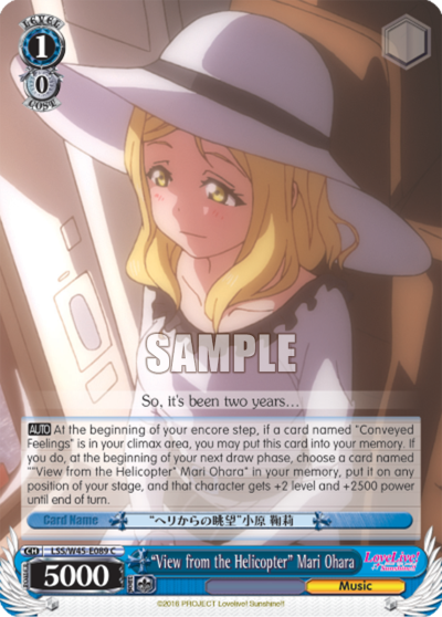 "View from the Helicopter" Mari Ohara