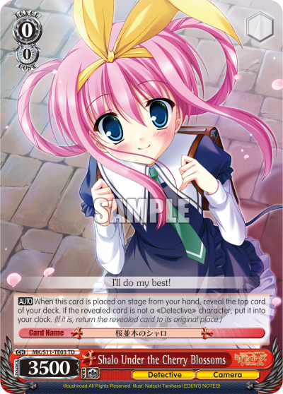 Shalo Under the Cherry Blossoms