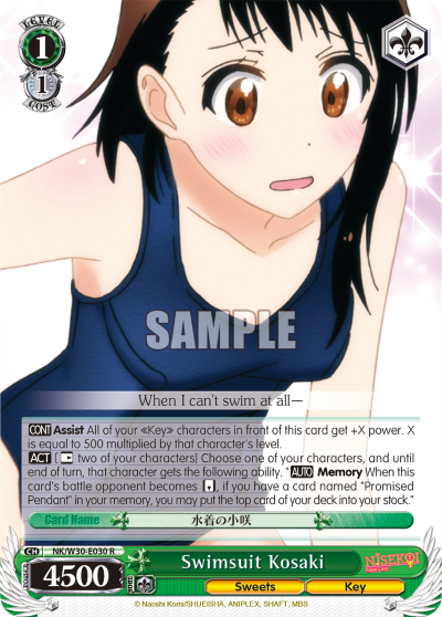 Swimsuit Kosaki