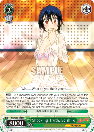 Shocking Truth, Seishiro