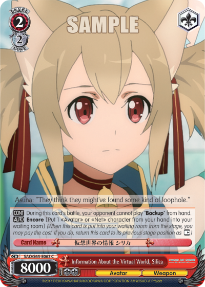 Information About the Virtual World, Silica