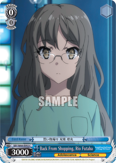 Back From Shopping, Rio Futaba SBY/W64-E092