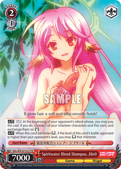 PR Card 【Schwarz Side】