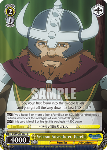 Veteran Adventurer, Gareth