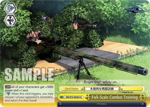 Full-Scale Combat Training