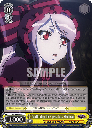 Confirming the Operation, Shalltear