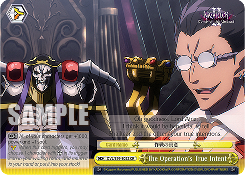 The Operation's True Intent