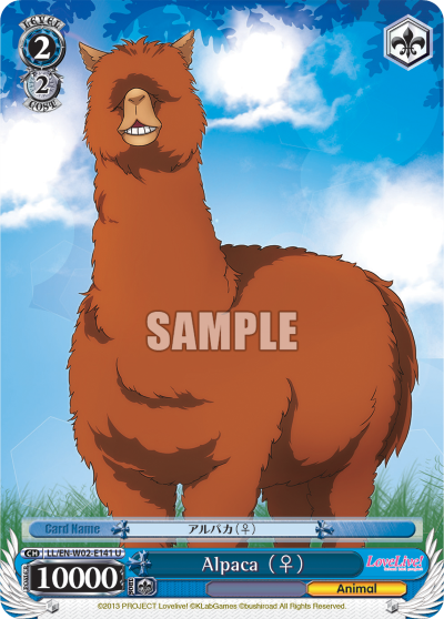 Alpaca (♀)