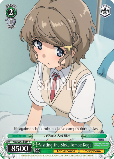 Visiting the Sick, Tomoe Koga